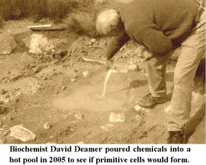 Deamer Soup Experiemnt