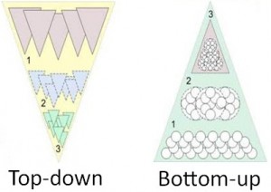 Top-Down and Bottom-Up